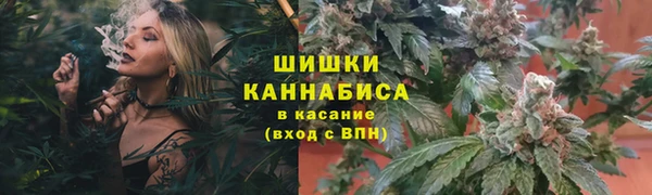 гашик Волосово