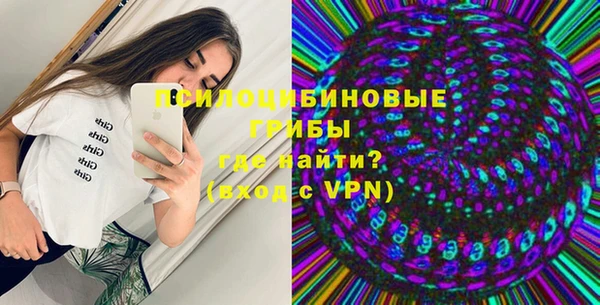 дживик Тавда