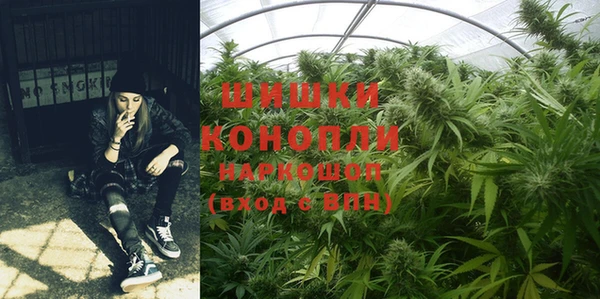 гашик Волосово