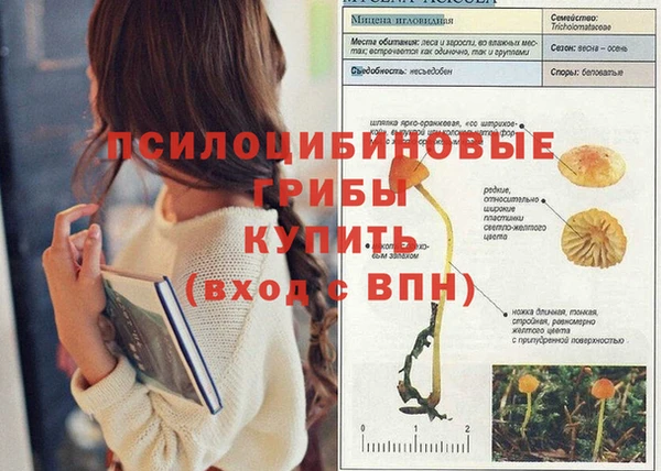 гашик Волосово