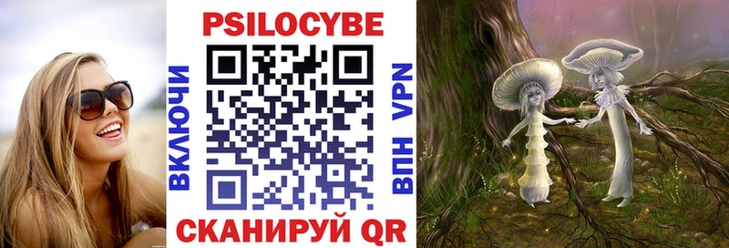 наркота  Назарово  Псилоцибиновые грибы Psilocybine cubensis 